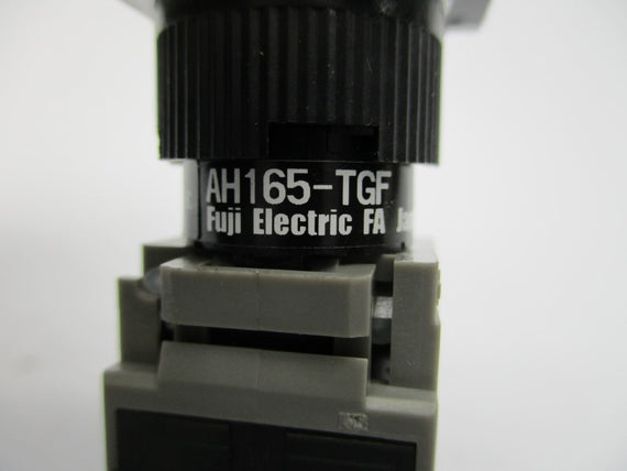 FUJI ELECTRIC AH165-TGF 250VAC 5A NSNP